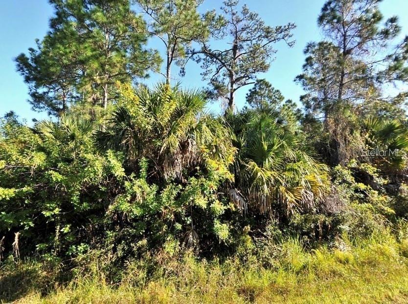 Culpepper Ter., North Port, FL 34286