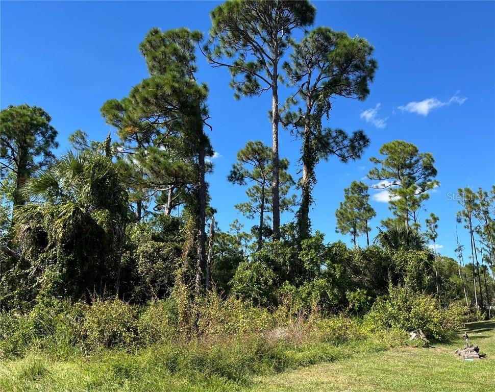 23436 Steeple Ave., Port Charlotte, FL 33980