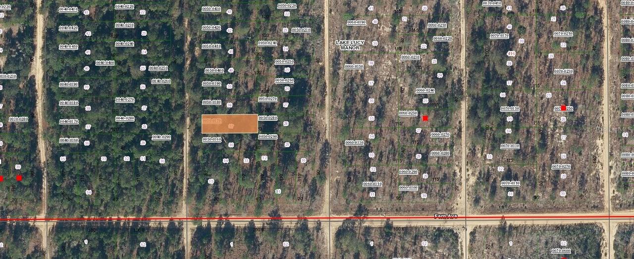 Lot 37 Paxon St., Interlachen, FL 32148