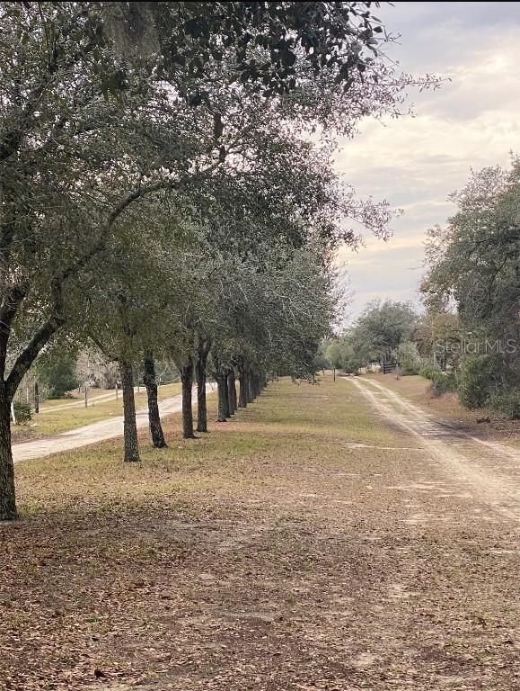 17171 SW 17th Cir., Ocala, FL 34473