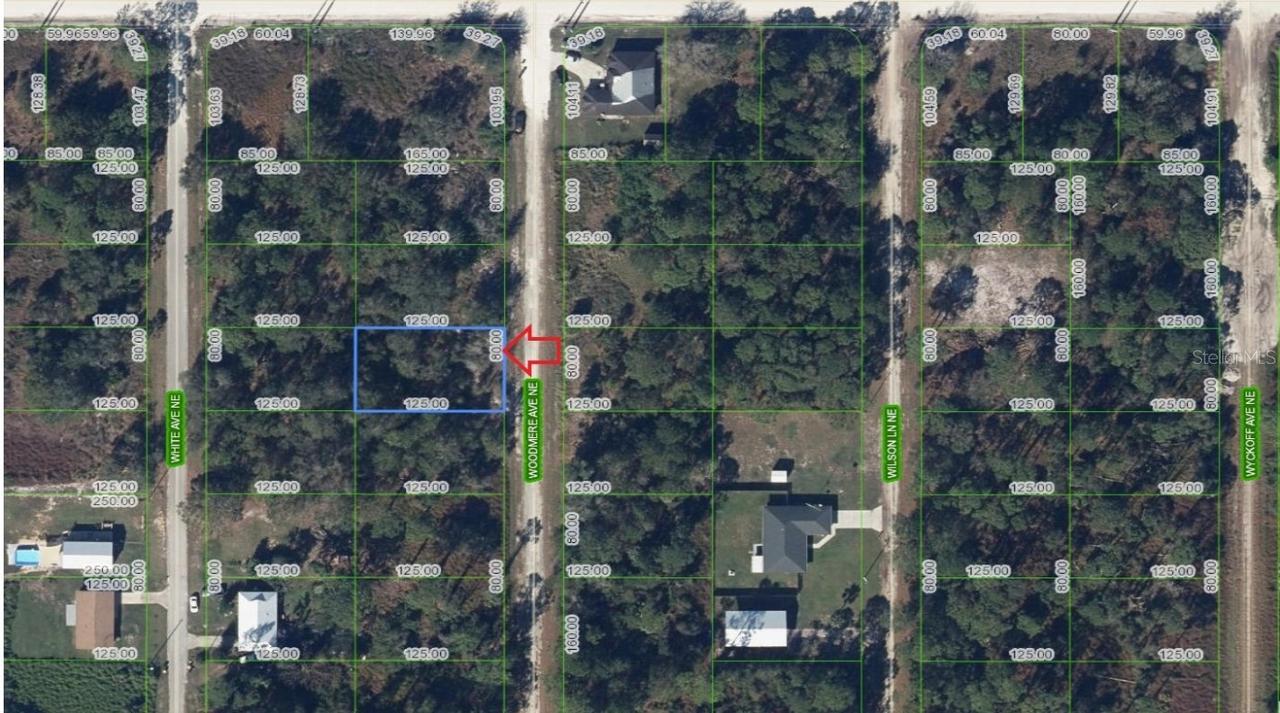 107 Woodmere Ave., Lake Placid, FL 33852