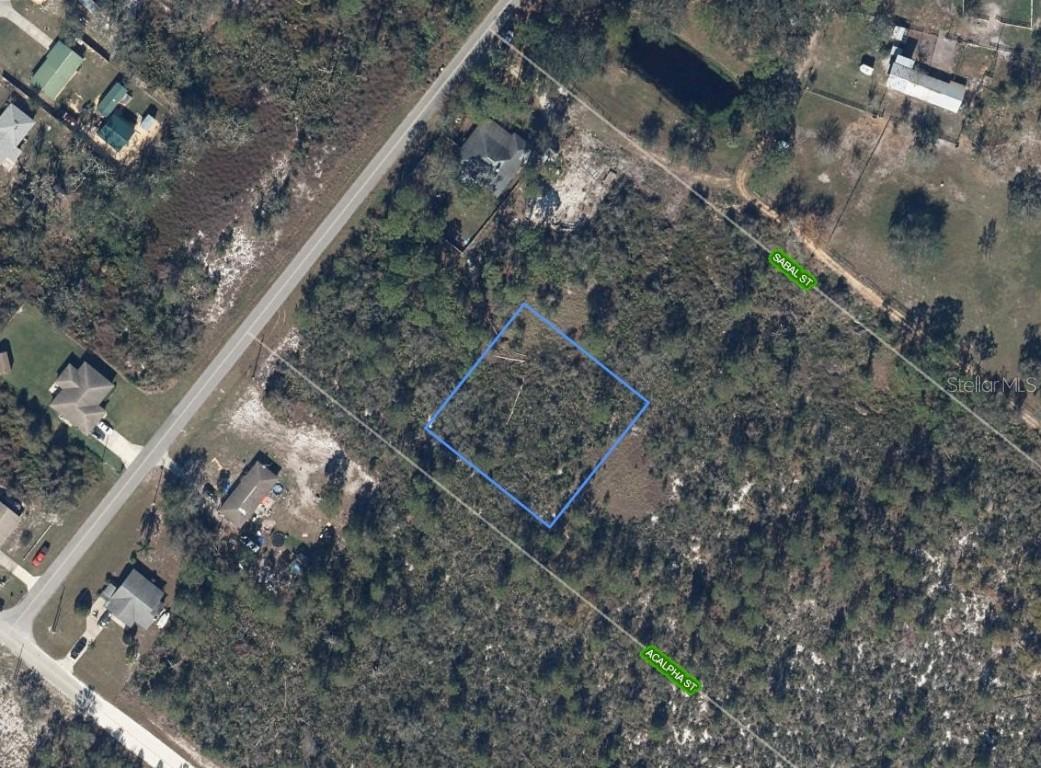 1306 Acalpha St., Lake Placid, FL 33852