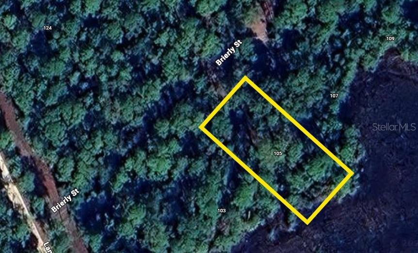 105 Brierly St., Georgetown, FL 32139