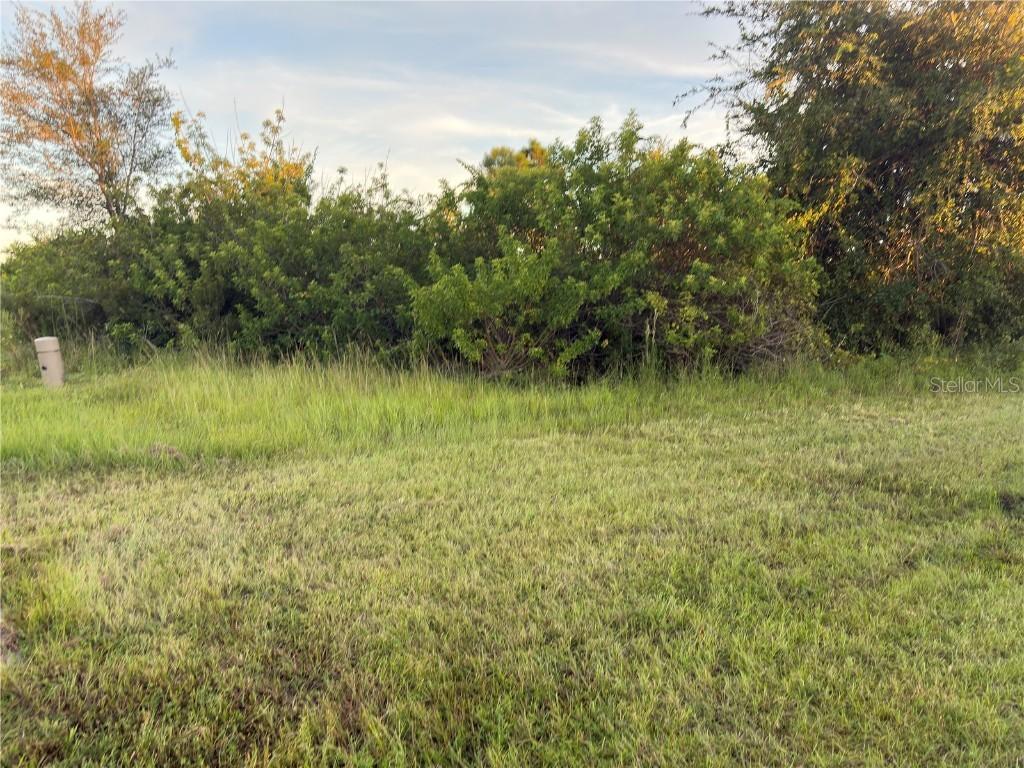 14251 Ingraham Blvd., Port Charlotte, FL 33981