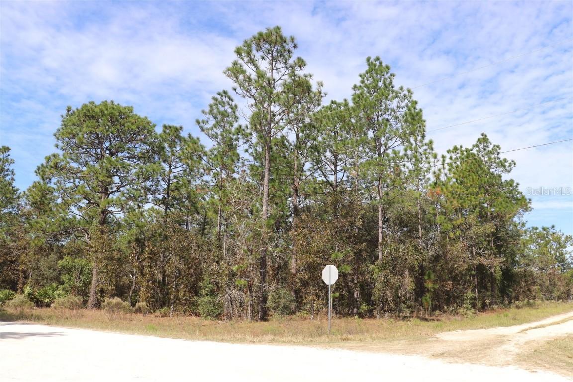 TBD SW 81st St., Dunnellon, FL 34432