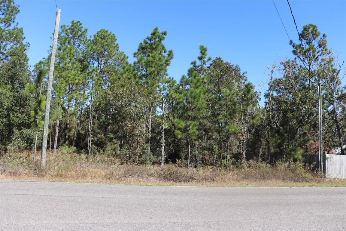TBD SW Indian Hill Drive, Dunnellon, FL 34431