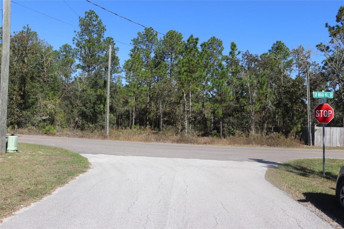 TBD SW Indian Hill Drive, Dunnellon, FL 34431