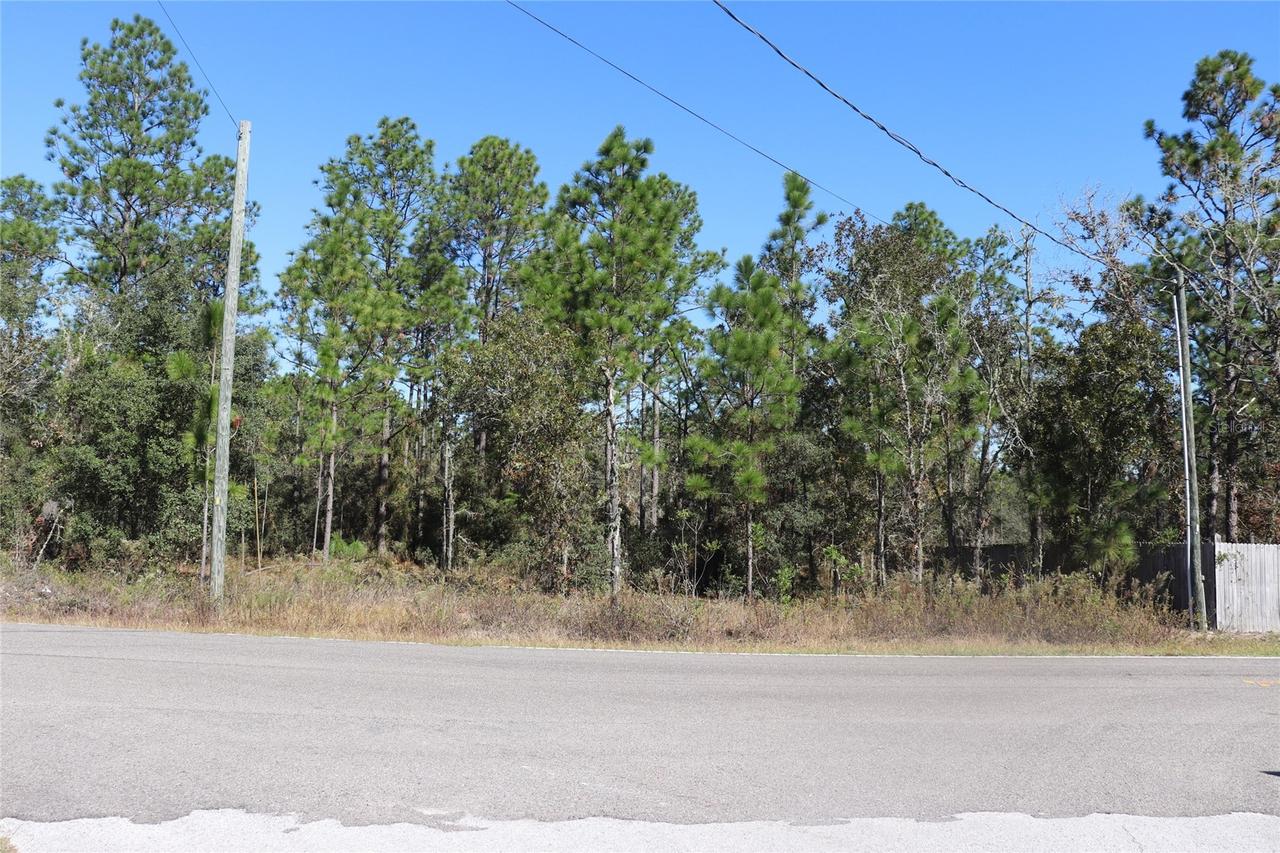 TBD SW Indian Hill Drive, Dunnellon, FL 34431