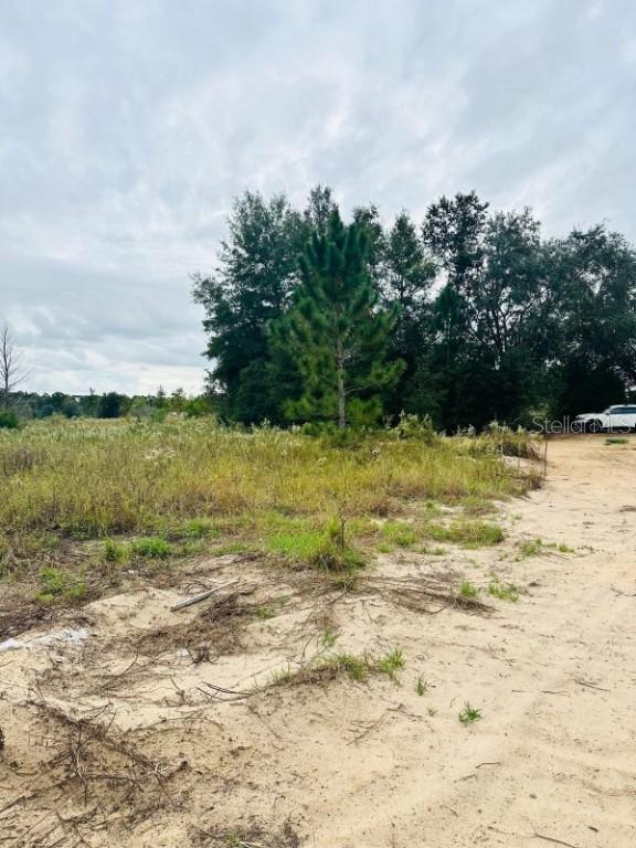 SW 28th Ln., Ocala, FL 34473