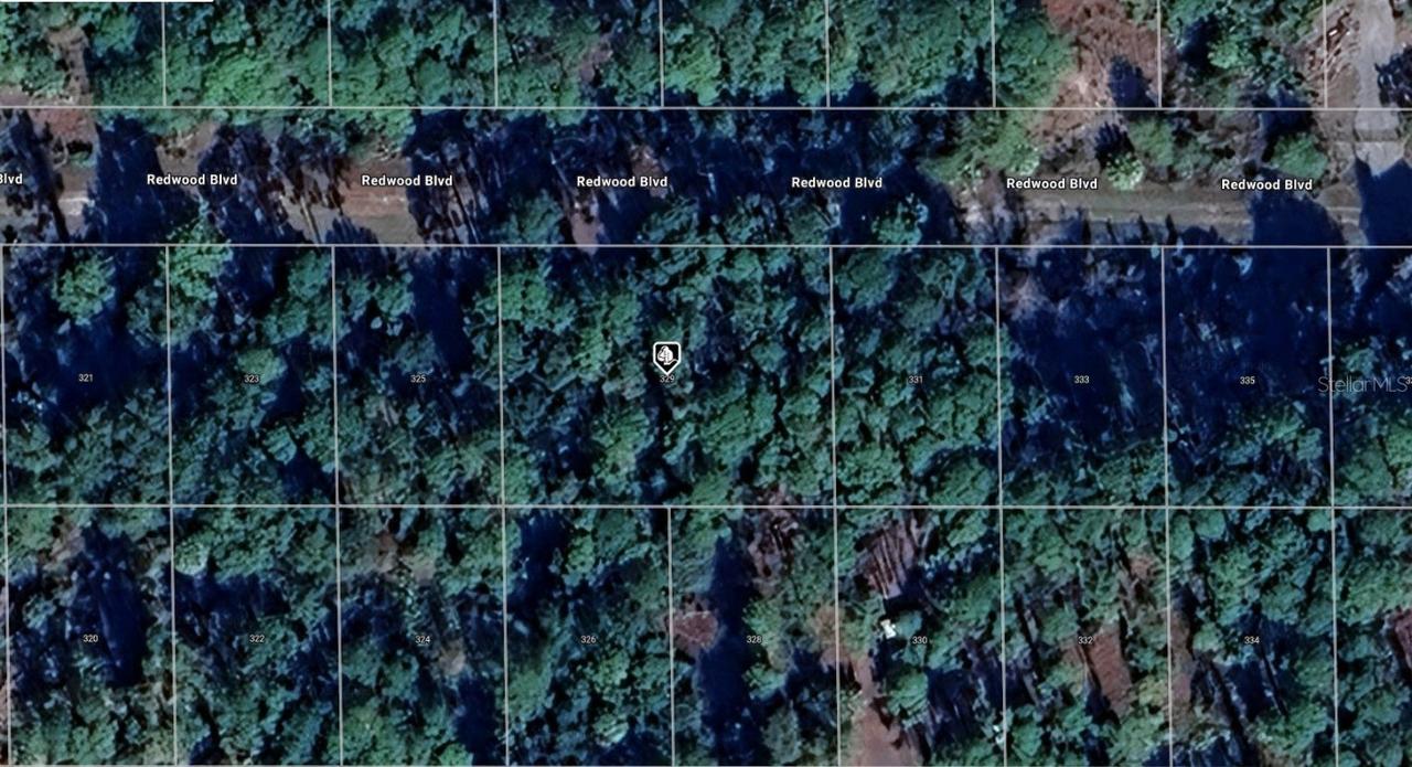 329 Redwood Blvd., Georgetown, FL 32139