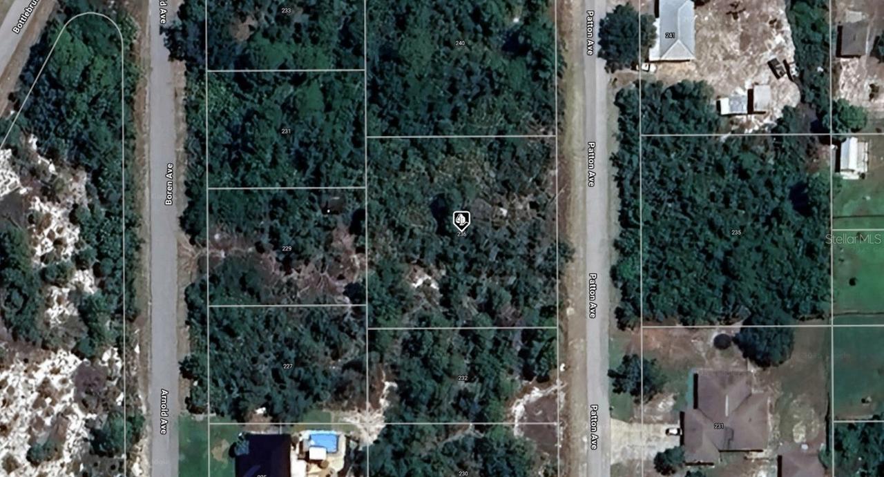 236 Patton Ave., Lake Placid, FL 33852