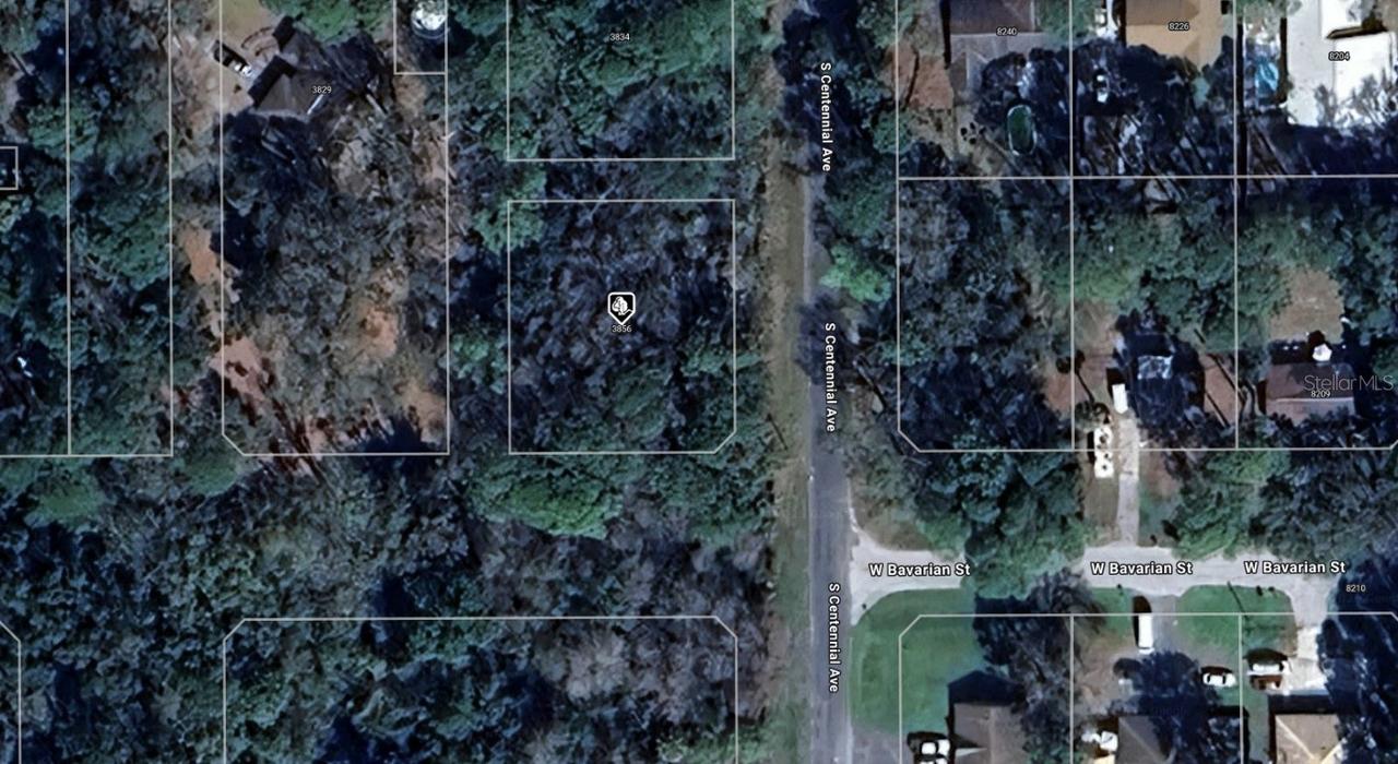 3856 S Centennial Ave., Homosassa, FL 34448