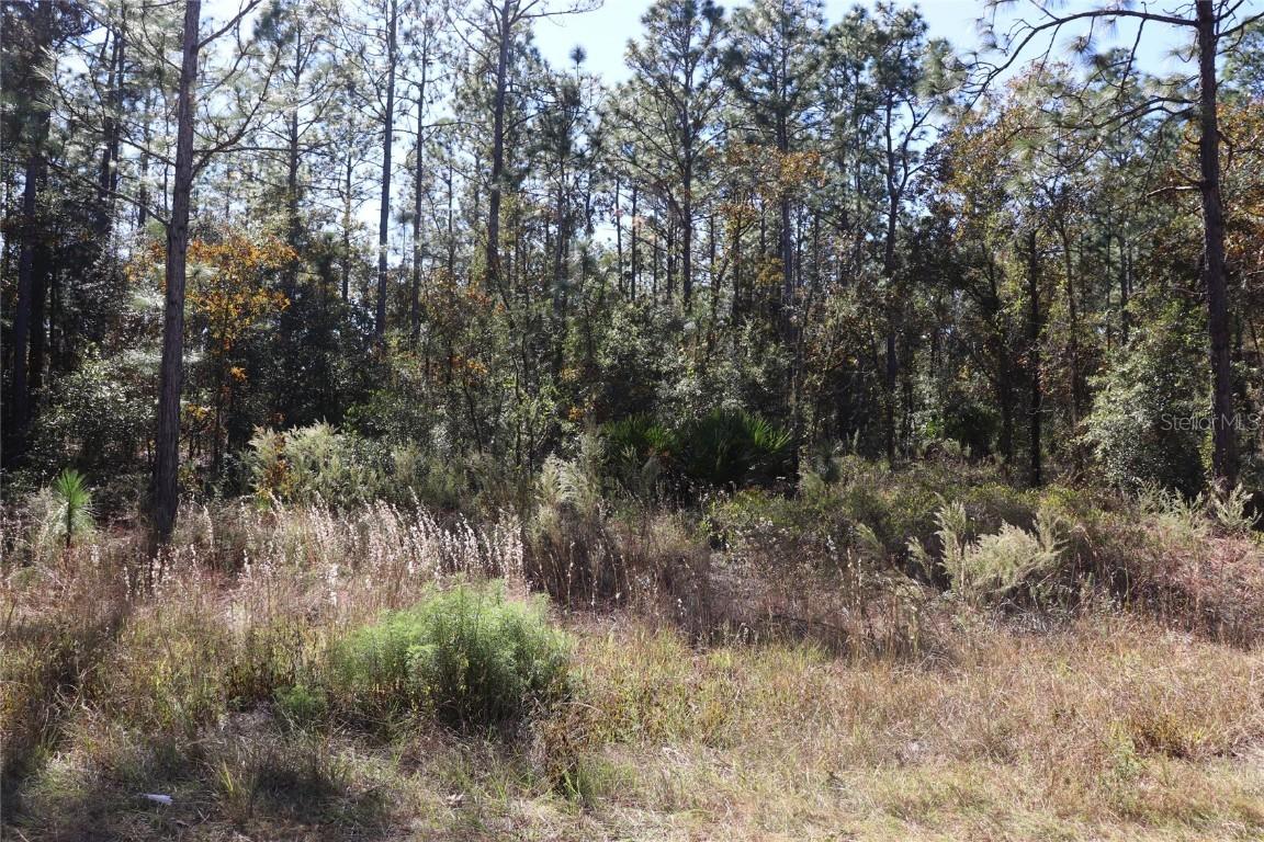 TBD SW 131st Circle, Ocala, FL 34481