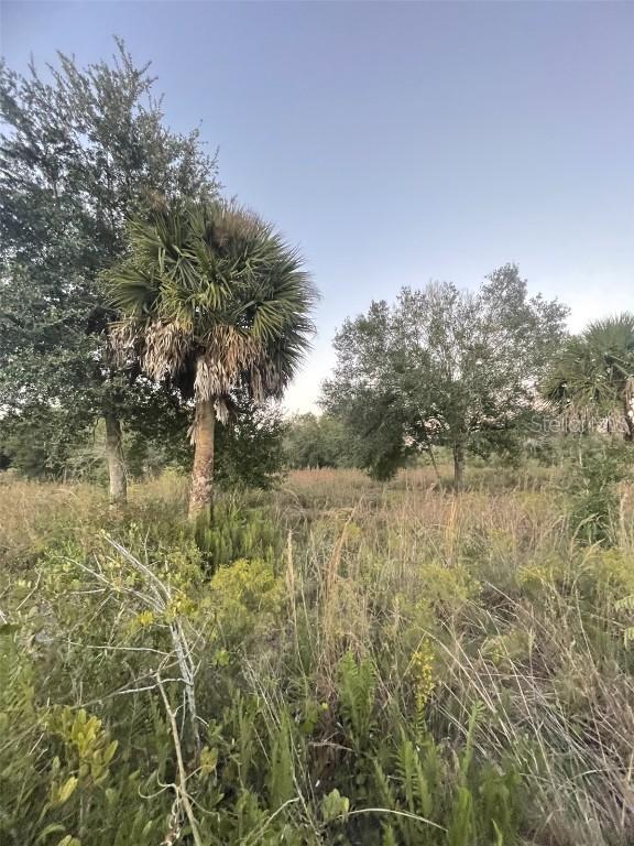 20581 NW 262nd St., Okeechobee, FL 34972