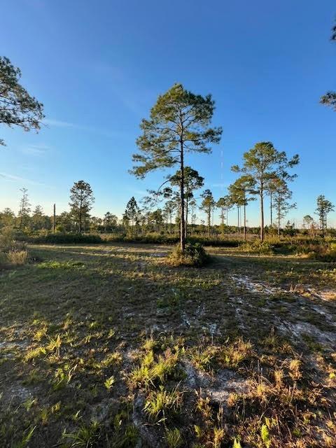 Seagrape Ave., Eustis, FL 32736