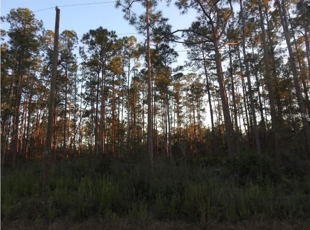 320 Gaillardia Dr., Indian Lake Estates, FL 33855