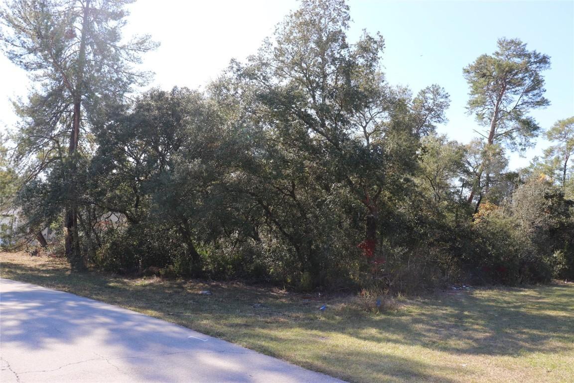 TBD Marion Oaks Golf Rd., Ocala, FL 34473
