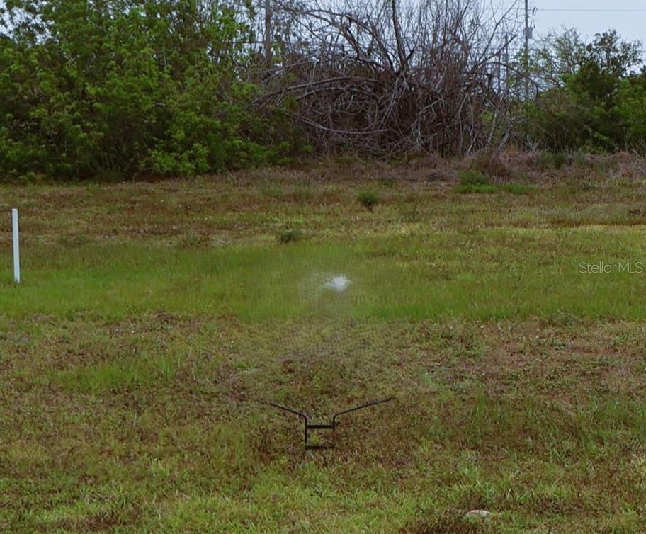 1321 SW 21st Ave., Cape Coral, FL 33991