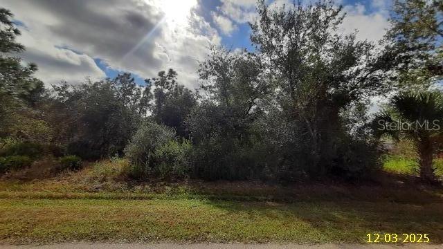 29371 Pontico St., Punta Gorda, FL 33982