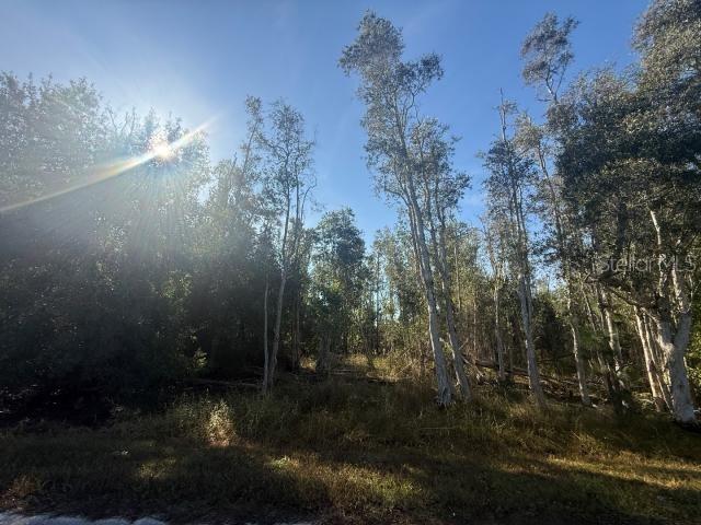 27335 Las Lomas Dr., Punta Gorda, FL 33955