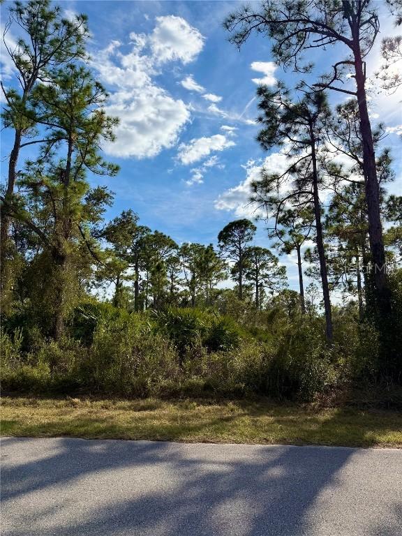 Lot 17 Burwin Ave., North Port, FL 34291