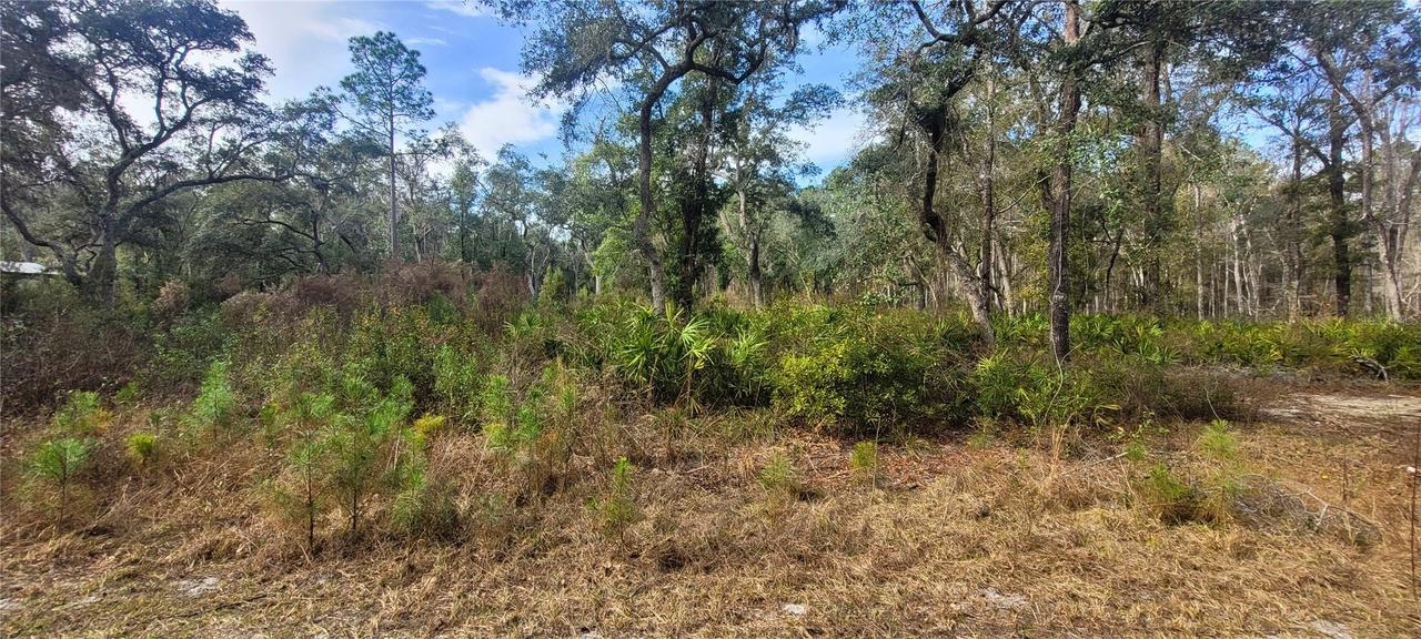 SE 68th Ter., White Springs, FL 32096