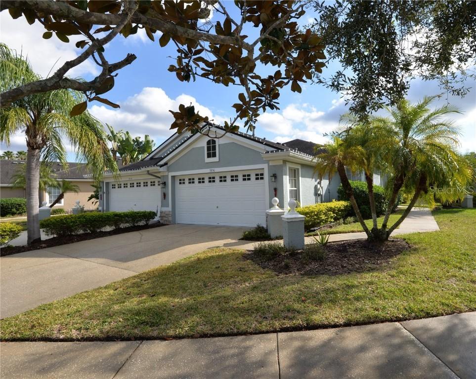 9856 Gingerwood Dr., Tampa, FL 33626