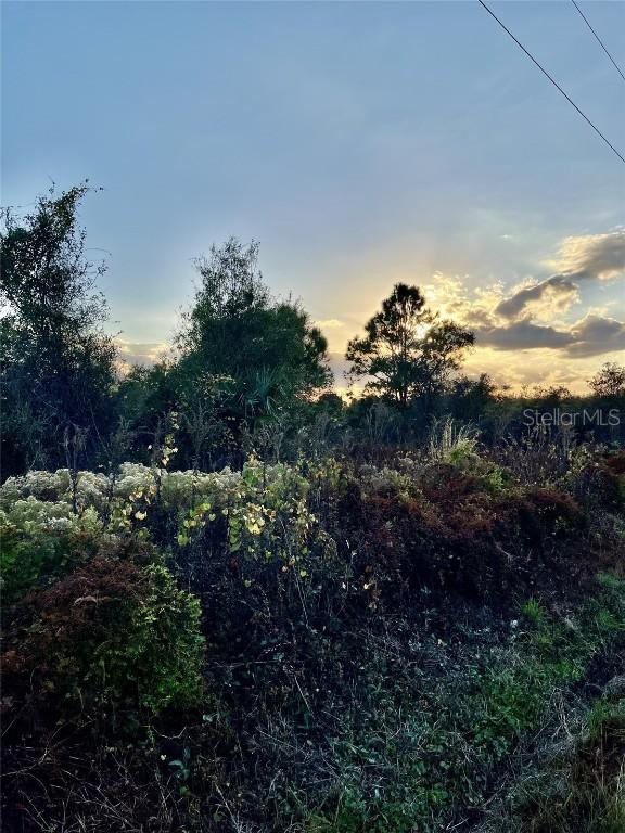 14416 NW 252nd St., Okeechobee, FL 34972