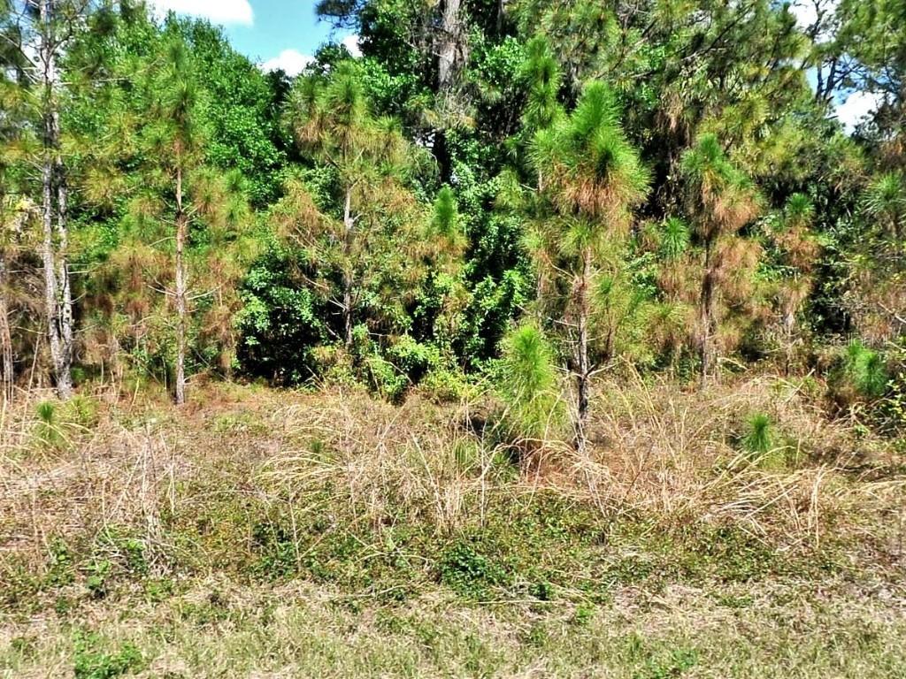 Bignay Rd., North Port, FL 34288