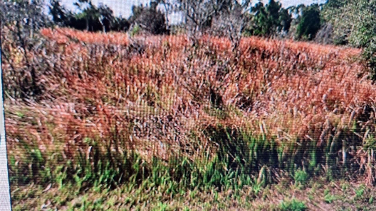 2527 Jaylene Rd., North Port, FL 34288