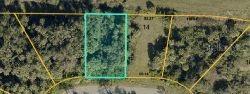 Laramie Cir., North Port, FL 34286