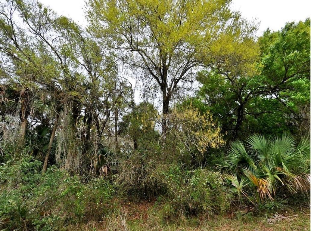 Backert Rd., North Port, FL 34291