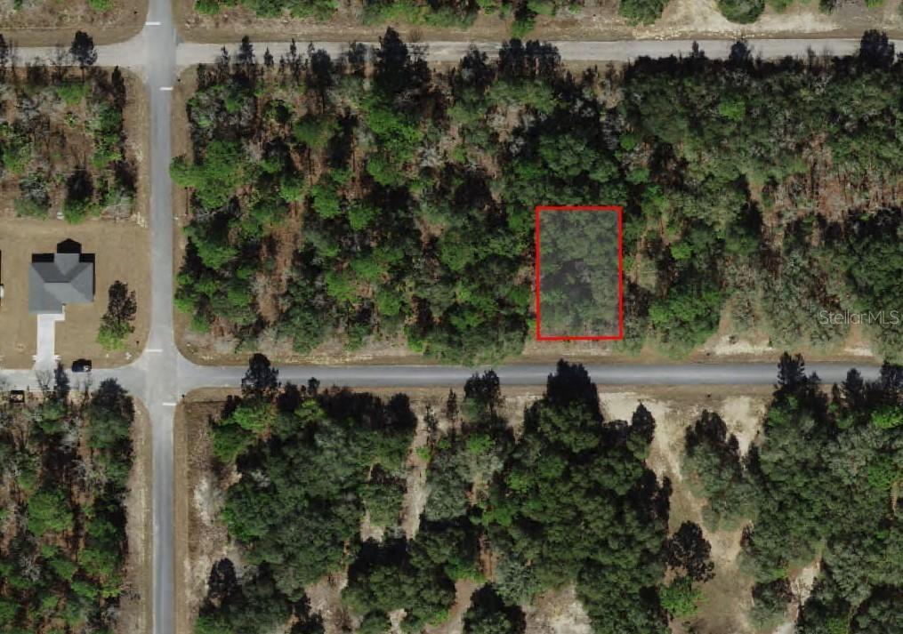 1451 W Dolores Dr., Citrus Springs, FL 34434