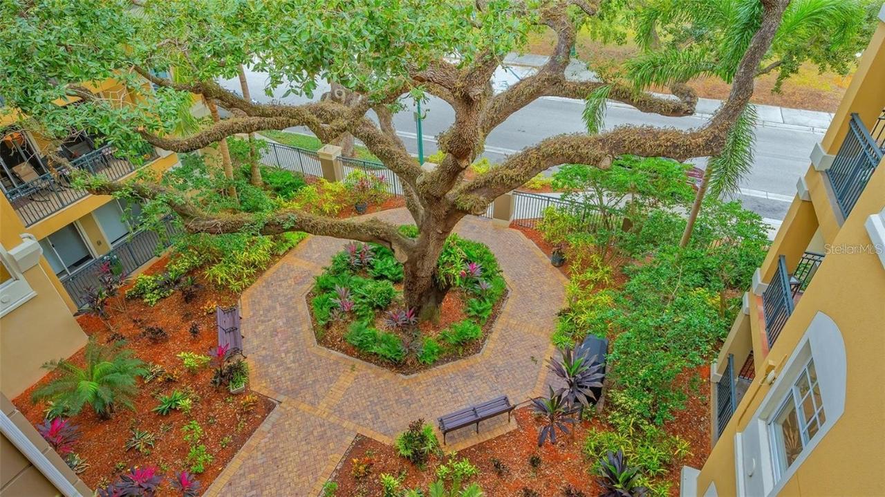 1268 11th St. #2403, Sarasota, FL 34236