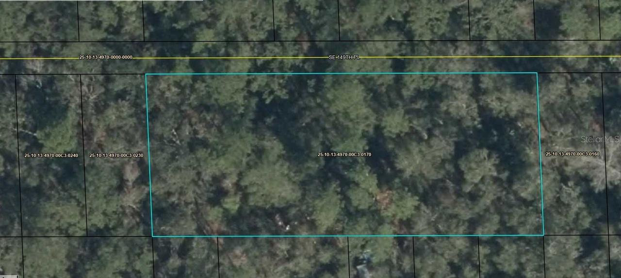 SE 149th Pl., Old Town, FL 32680