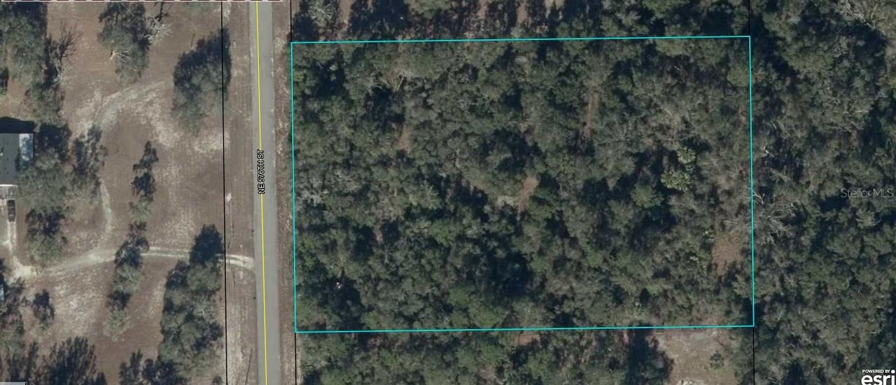NE 576th St., Old Town, FL 32680