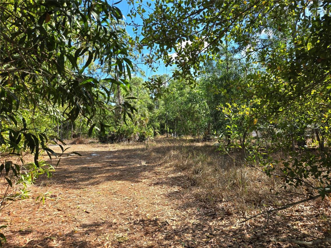 12312 Green Gulf Blvd., Punta Gorda, FL 33955