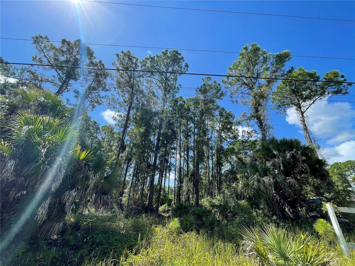 Noppenberg Ave. #LOT 30, North Port, FL 34288