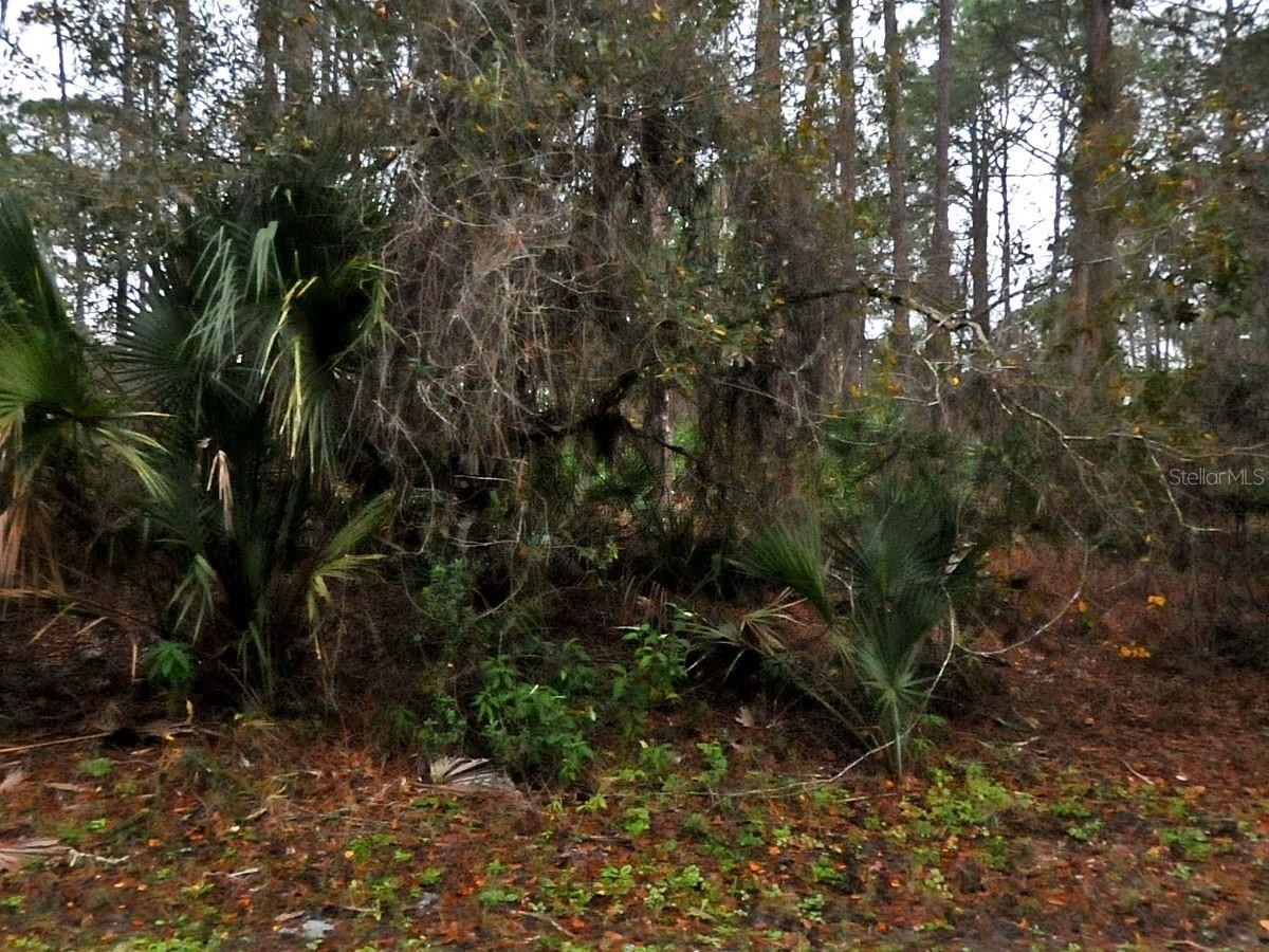 Neon Ave., North Port, FL 34291