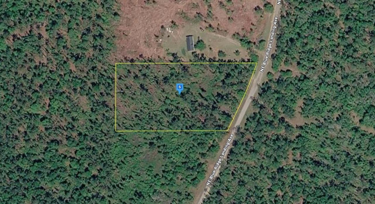 1177 NE Blue Ridge Landing Ave., Lee, FL 32059