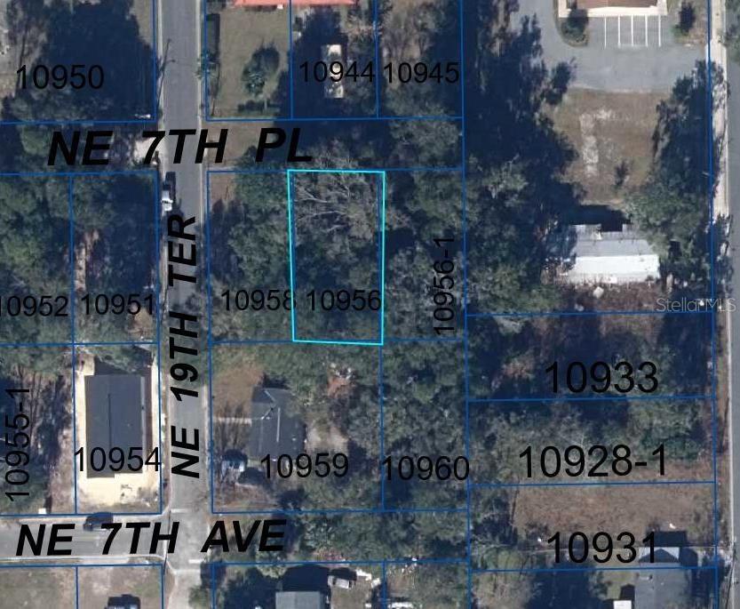 1929 NE 7th Pl., Gainesville, FL 32641