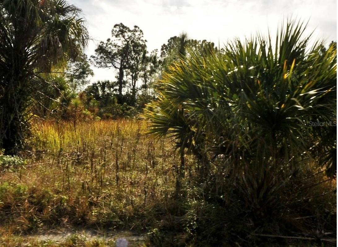 Dalewood Cir., North Port, FL 34288