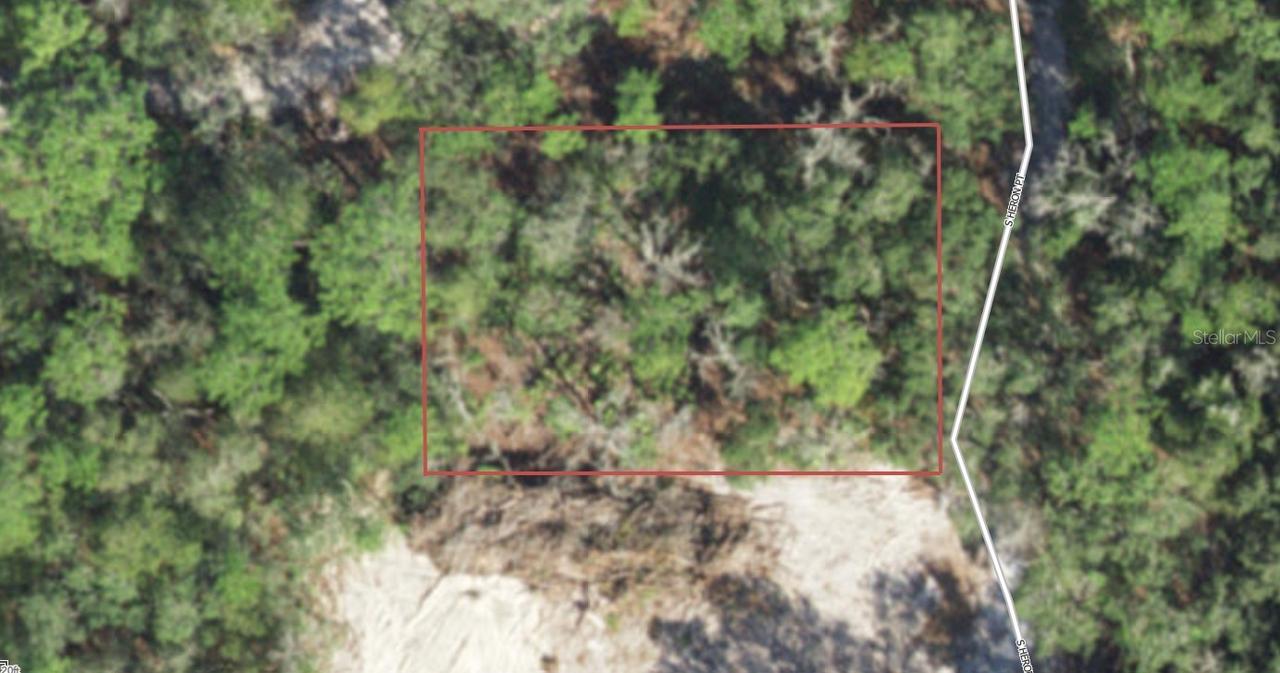 3720 S Heron Point, Inverness, FL 34450