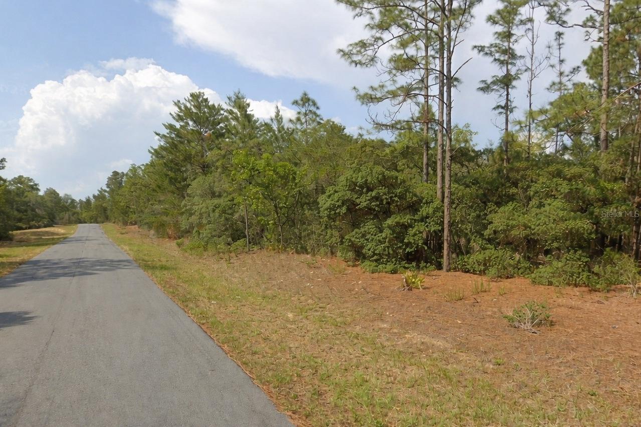 11033 N Trigger Ter., Dunnellon, FL 34433