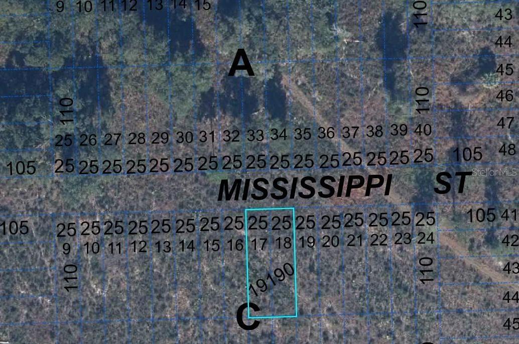 000 Mississippi St., Hawthorne, FL 32640