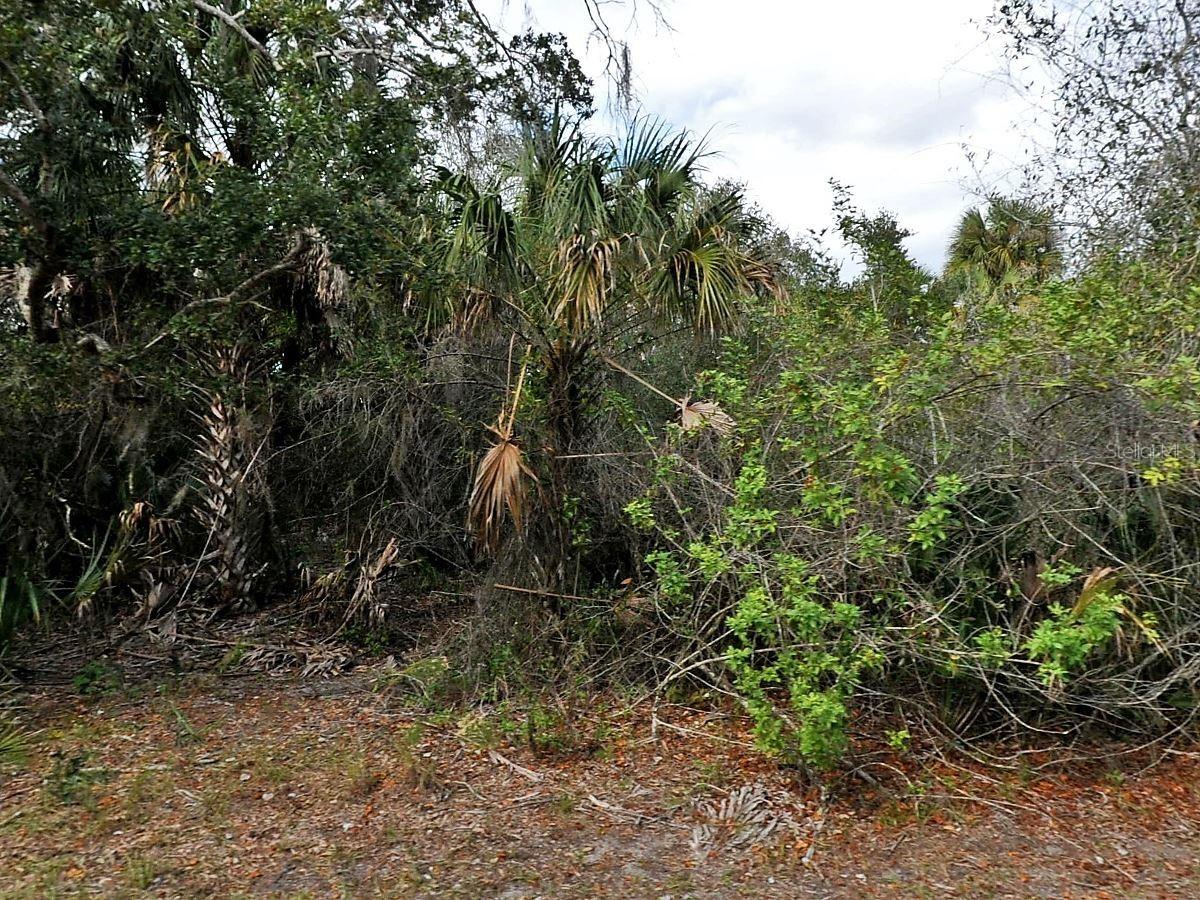 Alfa Ter., North Port, FL 34286