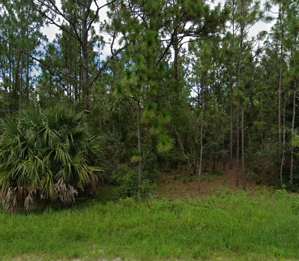 Highgrove Rd., Spring Hill, FL 34609