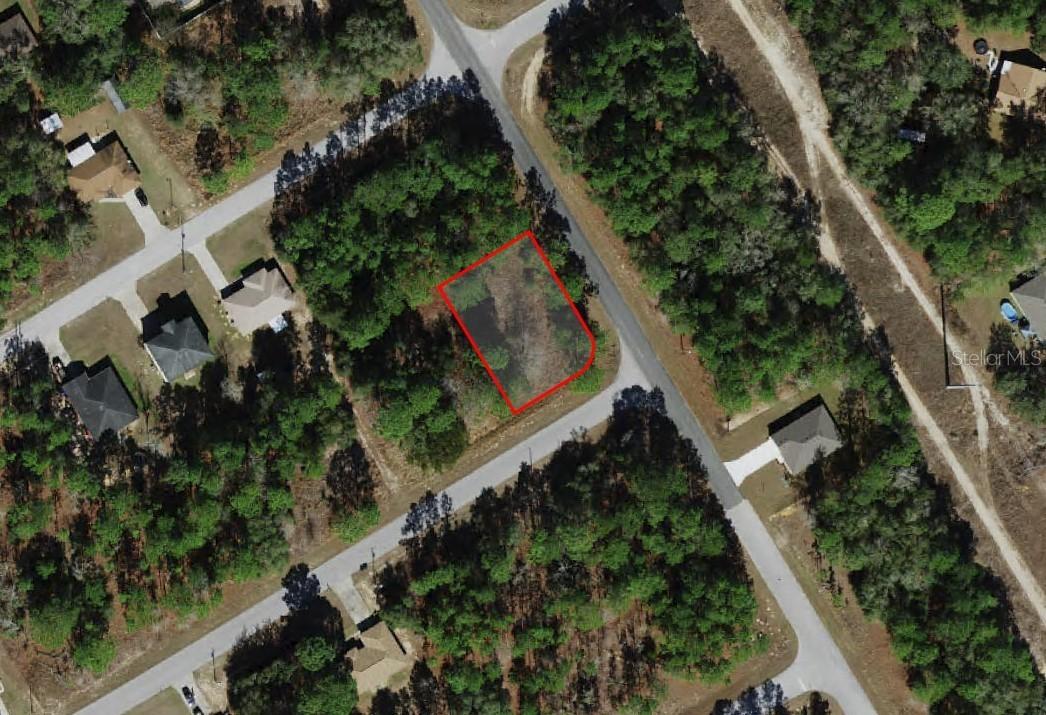 805 W Smallman Pl., Citrus Springs, FL 34434