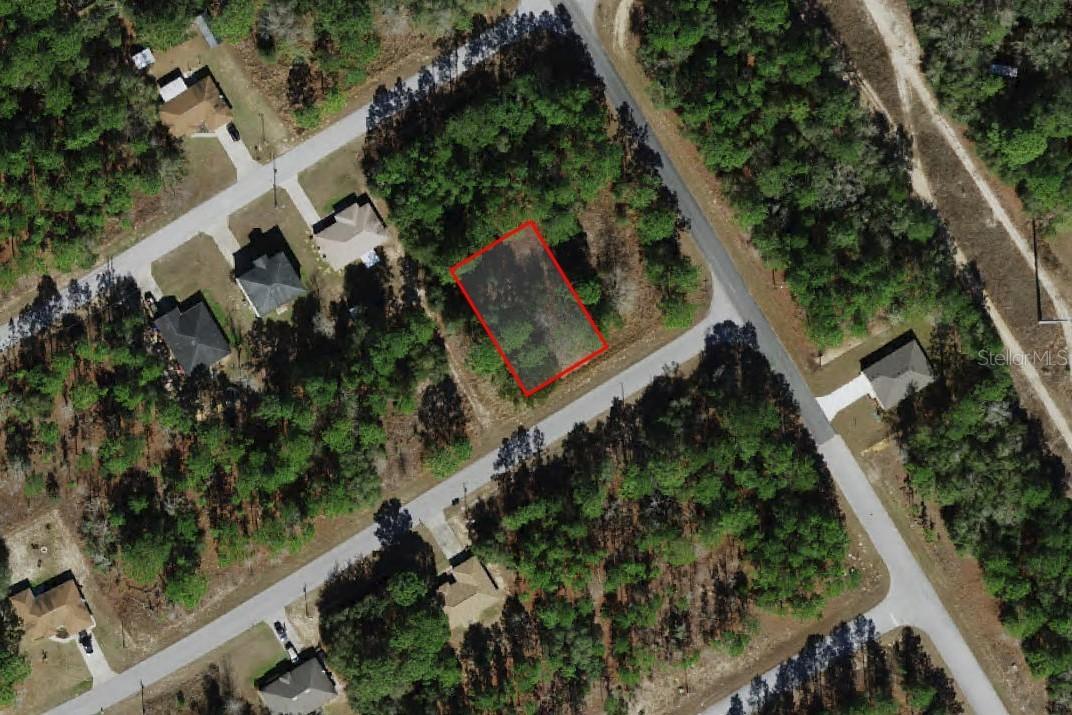 817 W Smallman Pl., Citrus Springs, FL 34434