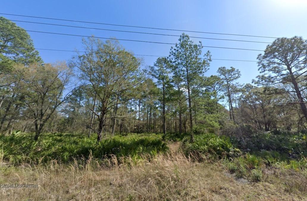 10620 Yeager Ave., Hastings, FL 32145